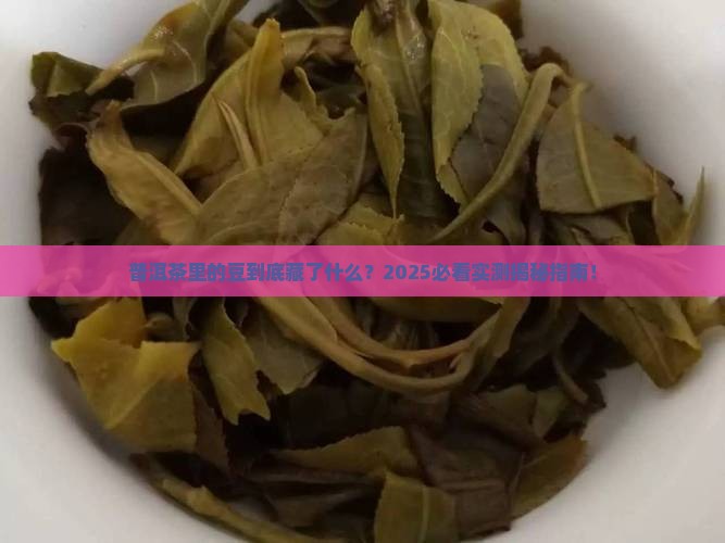 普洱茶里面的豆是什么