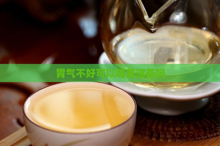 胃气可以喝普洱茶吗