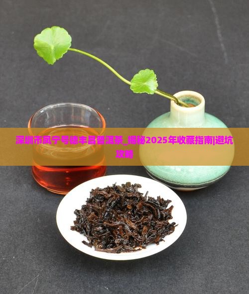 深圳市凤宁号德丰昌普洱茶