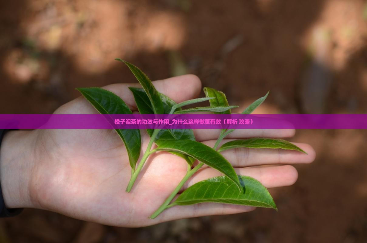 橙子泡茶的功效与作用