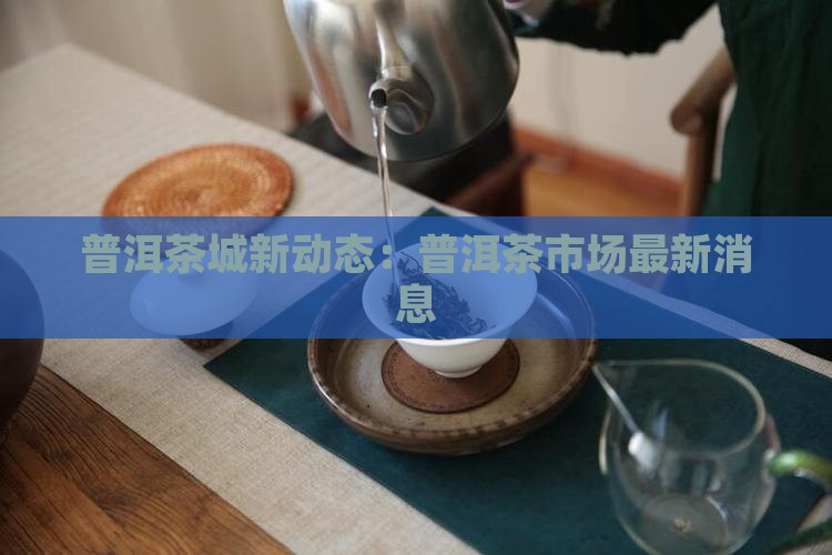 普洱茶城最近新消息