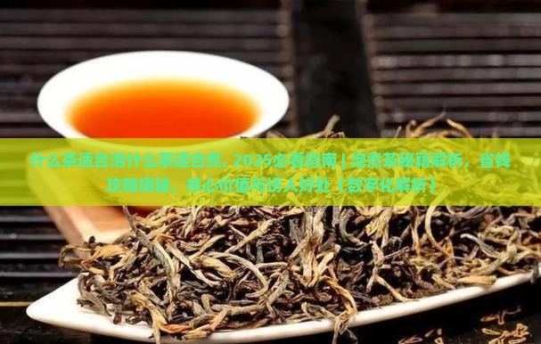 什么茶适合泡什么茶适合煮