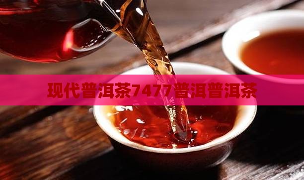 现代普洱茶7477