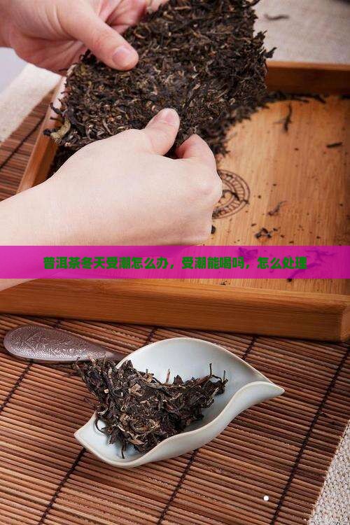 普洱茶冬天受潮怎么办