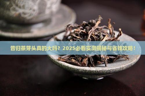 昔归茶的芽头大吗