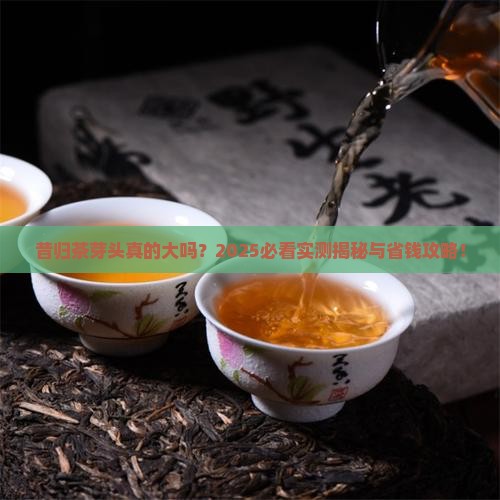 昔归茶的芽头大吗
