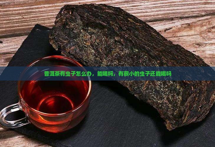 普洱茶有虫子怎么办