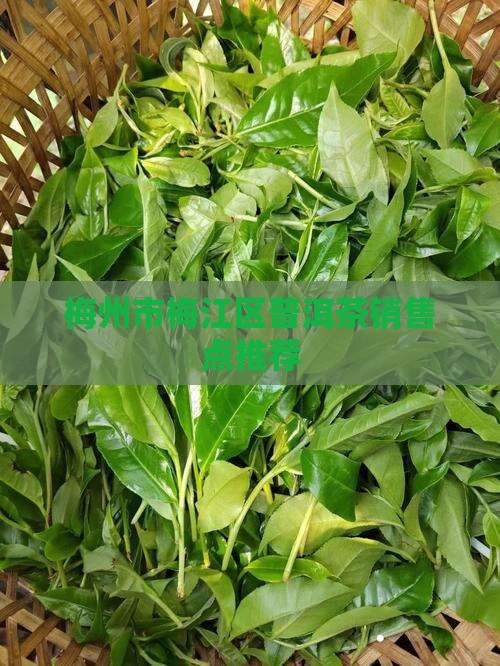 梅州卖普洱茶的地方 梅州卖普洱茶的地方