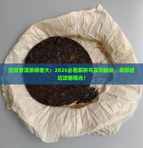 班章普洱茶杨老大