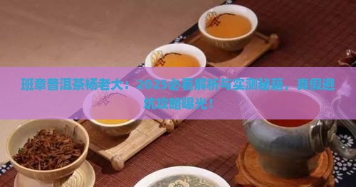 班章普洱茶杨老大