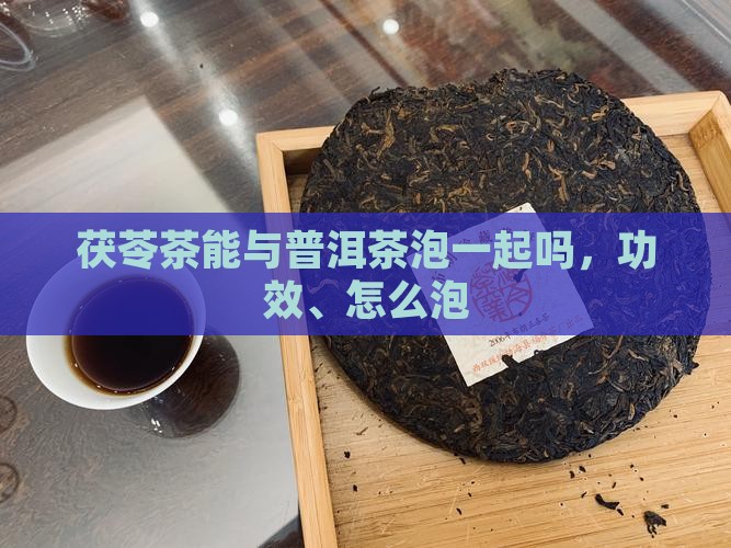 茯苓茶能与普洱茶泡一起吗