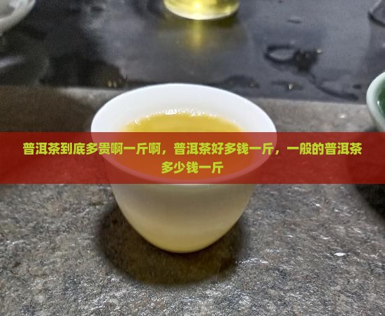 普洱茶到底多贵啊一斤啊
