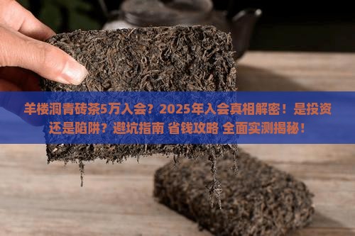 羊楼洞青砖茶5万入会