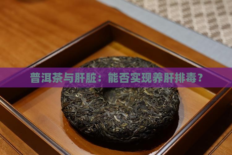 普洱茶能养肝排毒吗