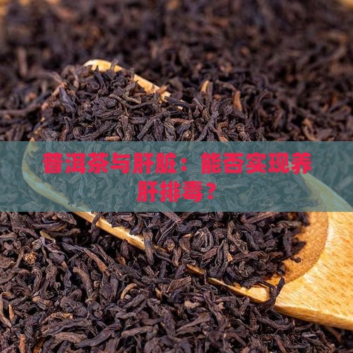 普洱茶能养肝排毒吗
