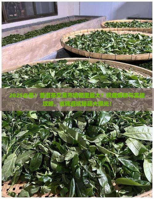 普洱茶交易市场哪里最大