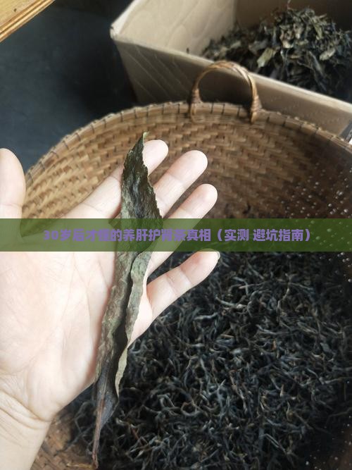 养肝护肾的茶是什么茶