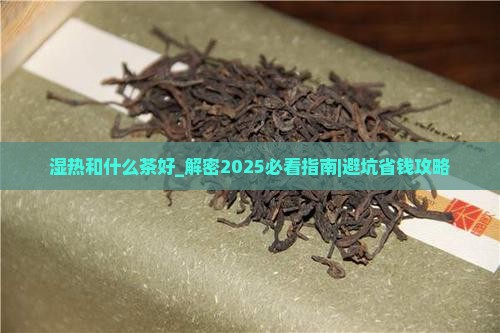 湿热和什么茶好