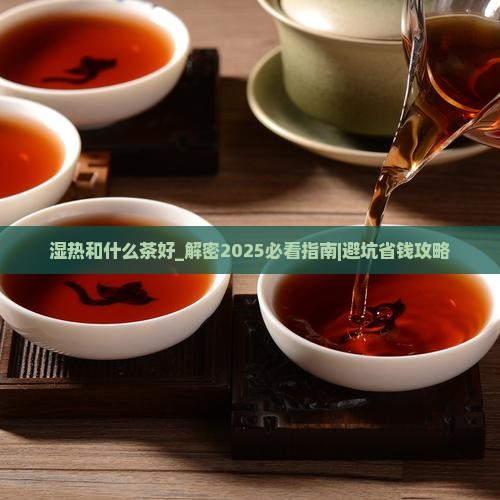 湿热和什么茶好