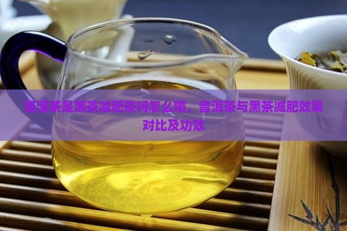 普洱茶是黑茶减肥茶吗怎么喝