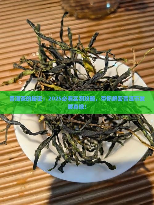 普洱市普洱茶发展概况