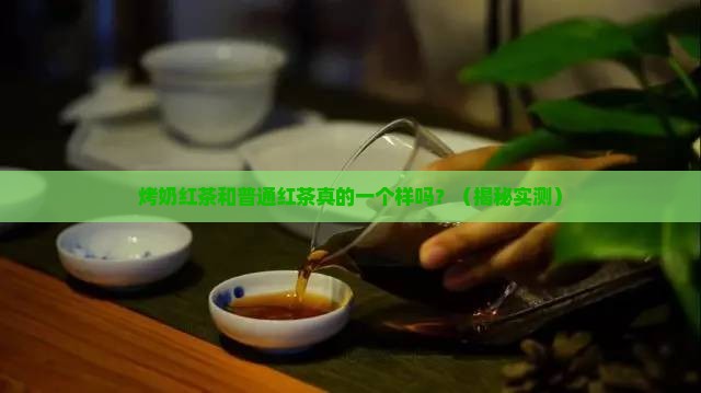 烤奶红茶和一般的红茶一样吗
