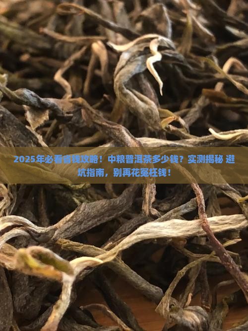 中粮的普洱茶多少钱