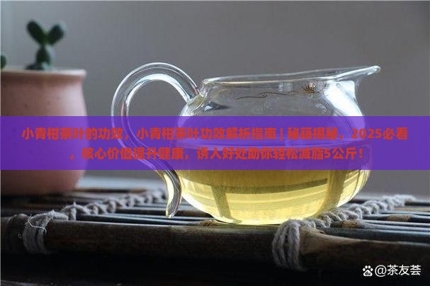 小青柑茶叶的功效