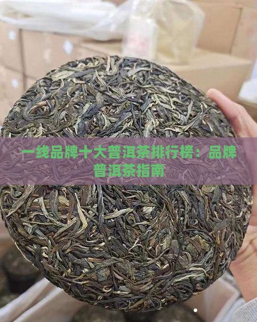 一线品牌做普洱茶
