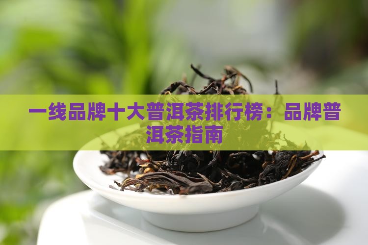 一线品牌做普洱茶