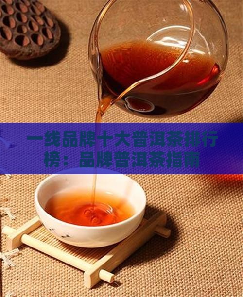 一线品牌做普洱茶