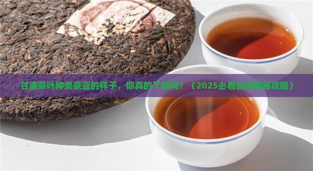 甘肃茶叶种类茶壶的样子