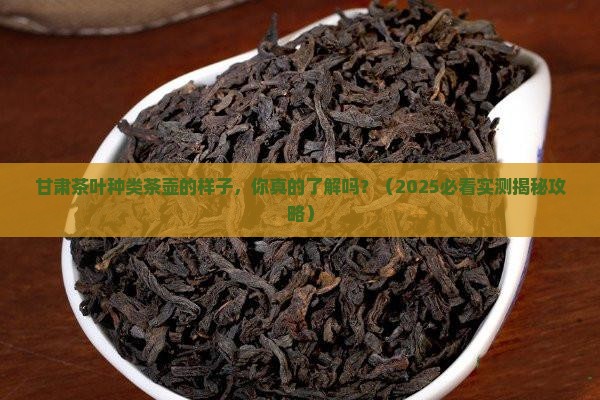 甘肃茶叶种类茶壶的样子
