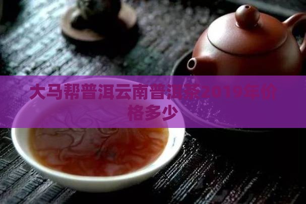 大马帮普洱2019年多少钱
