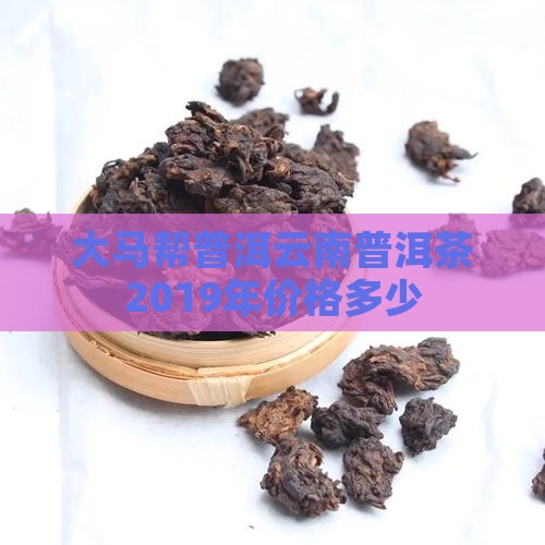 大马帮普洱2019年多少钱