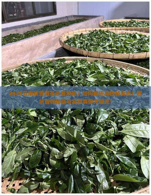 云南味普洱茶卖点