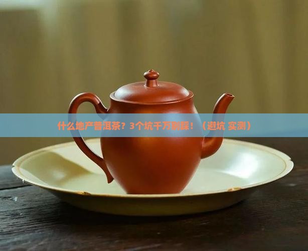 什么地产普洱茶