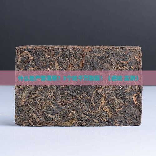 什么地产普洱茶