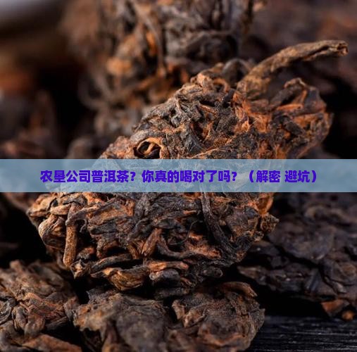 农垦公司普洱茶