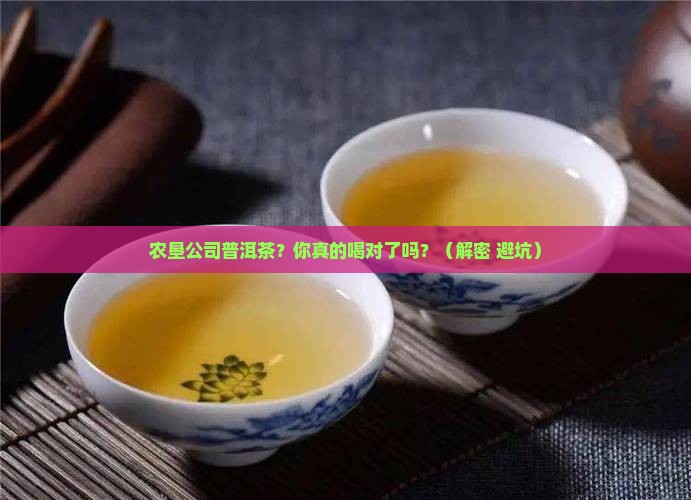 农垦公司普洱茶
