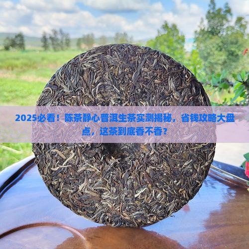 陈茶静心普洱茶生茶