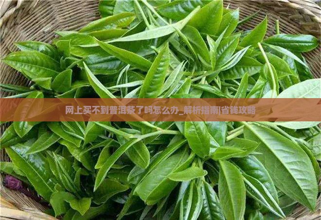 网上买不到普洱茶了吗怎么办