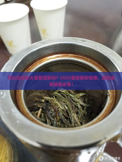 可以往加拿大寄普洱茶吗