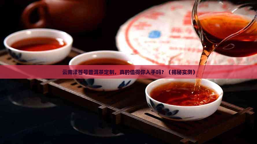 云南泽苍号普洱茶定制