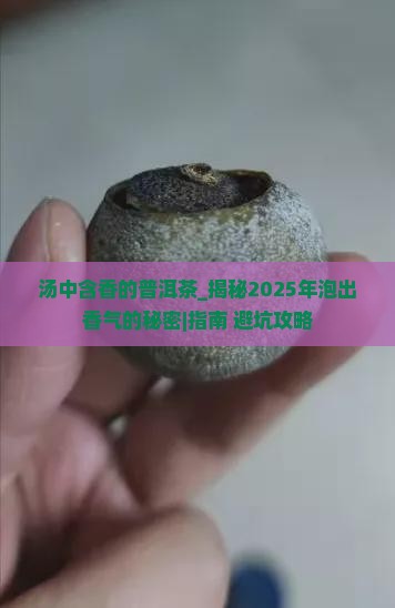 汤中含香的普洱茶
