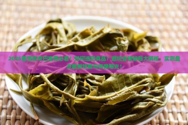 普洱茶辛巴推荐
