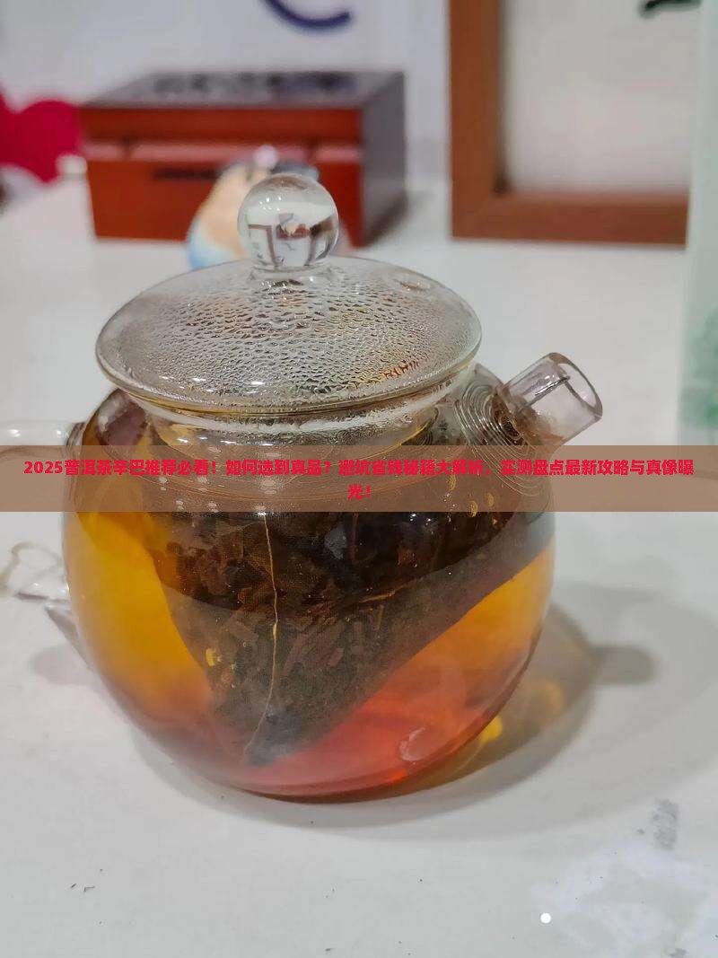 普洱茶辛巴推荐