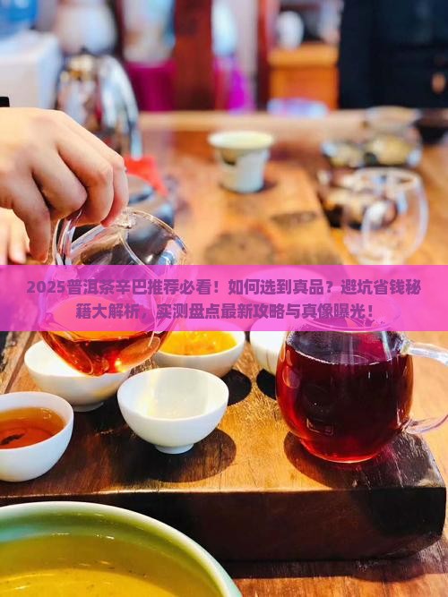 普洱茶辛巴推荐