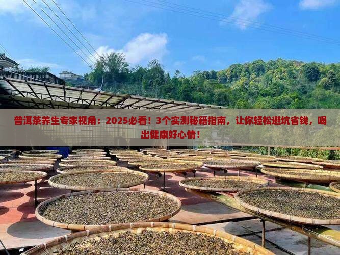 普洱茶养生专家