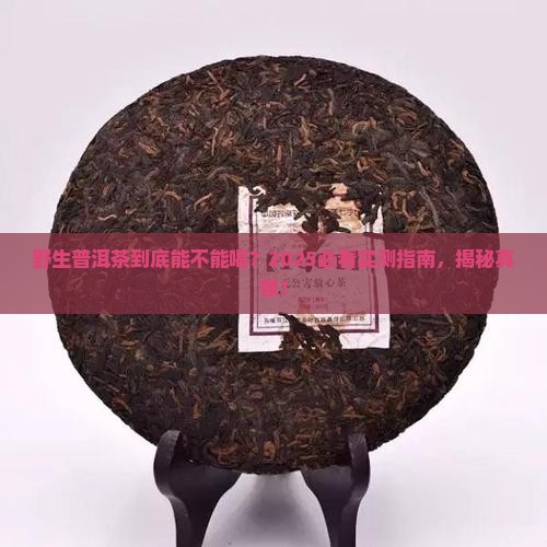 野生普洱茶可以喝吗